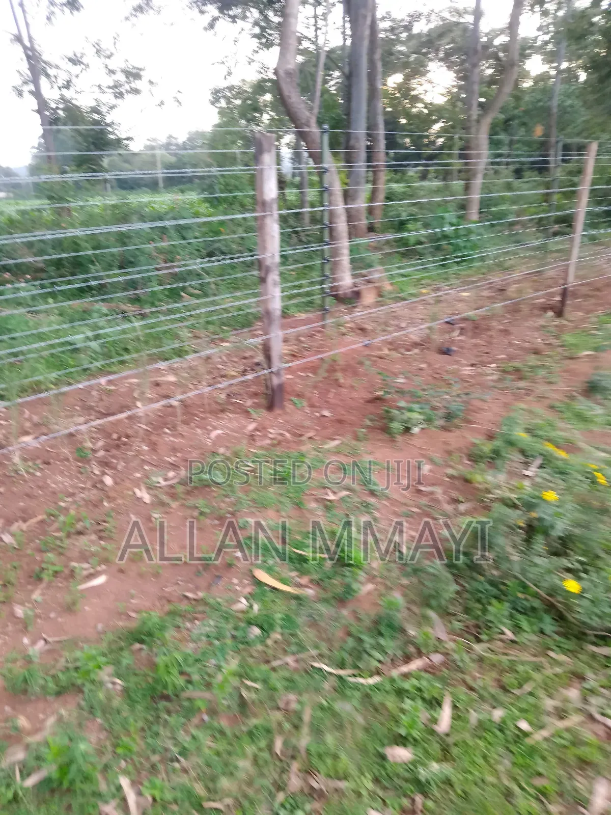 Electric Fence/Solar Lights
