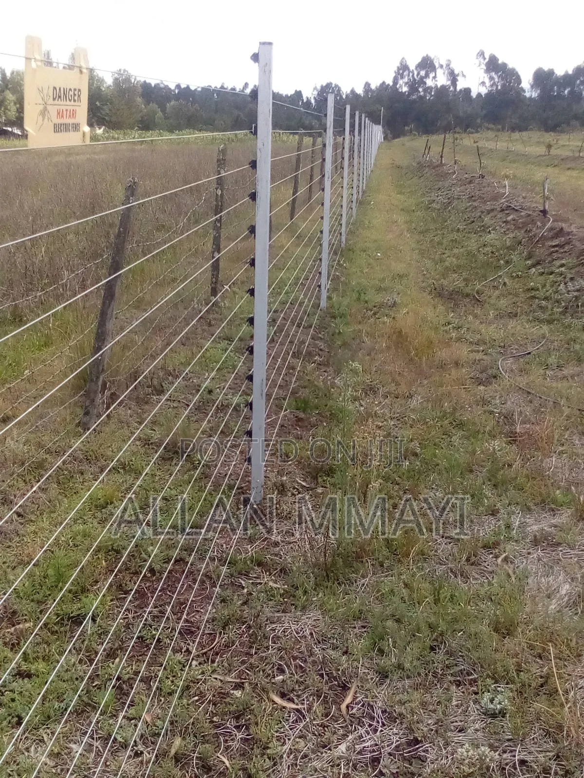 Electric Fence/Solar Lights