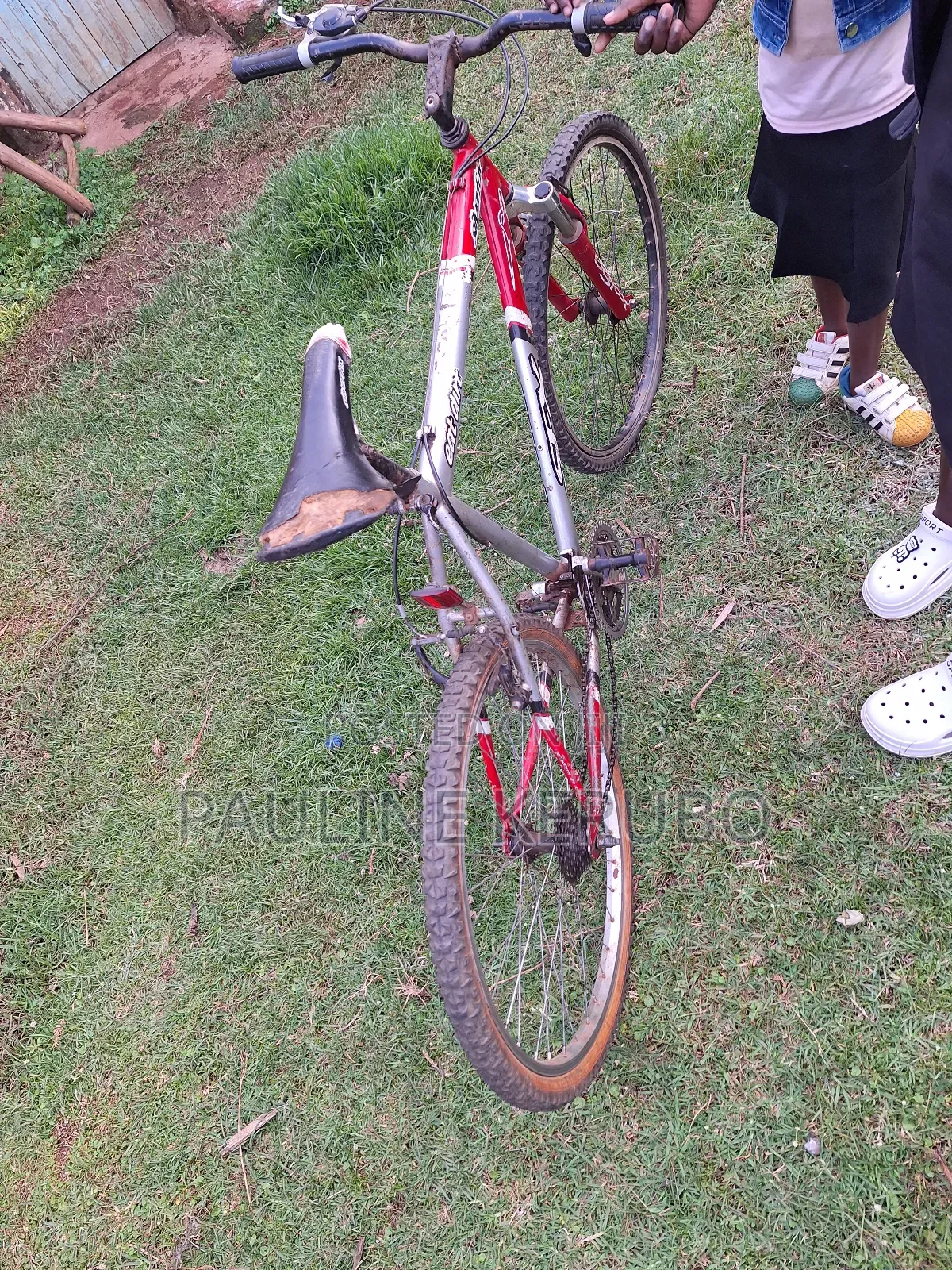Mountain Bike