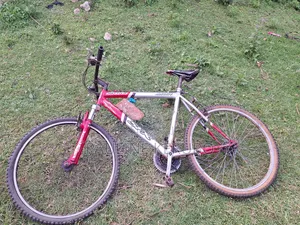 Mountain Bike