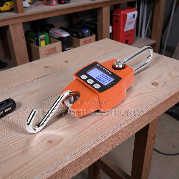 Reliable Performance 300kgs Hanging Crane Scale Accurate Durable