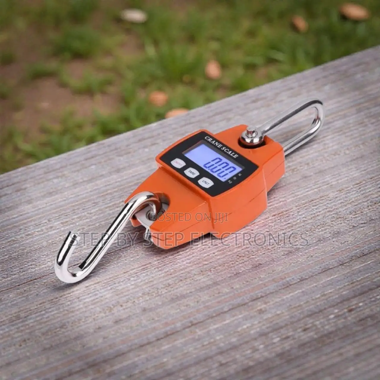 Efficient and Convenient 300kgs Portable Hanging Crane Scale Accurate
