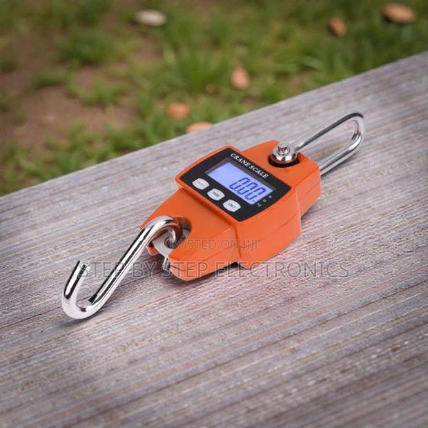 Efficient and Convenient 300kgs Portable Hanging Crane Scale Accurate