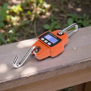 Ultra High Quality 300kgs Hanging Hook Crane Scale With LCD Display