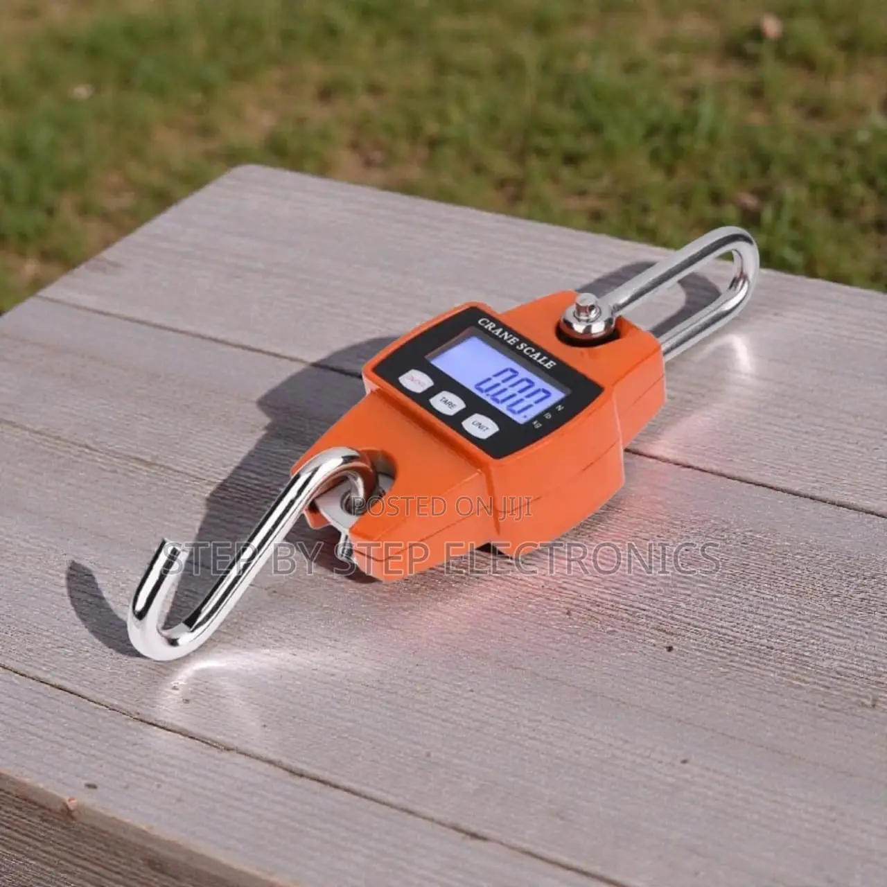 Inexpensive 300kgs Hanging Crane Scale Portable Easy to Use Accurate