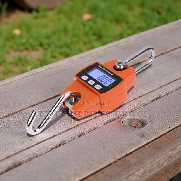 Super Quality 300kgs Hanging Crane Scale Portable Accurate LCD Display