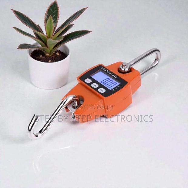 300kgs Mini Crane Hook Scale LCD Display High Performance Reliable