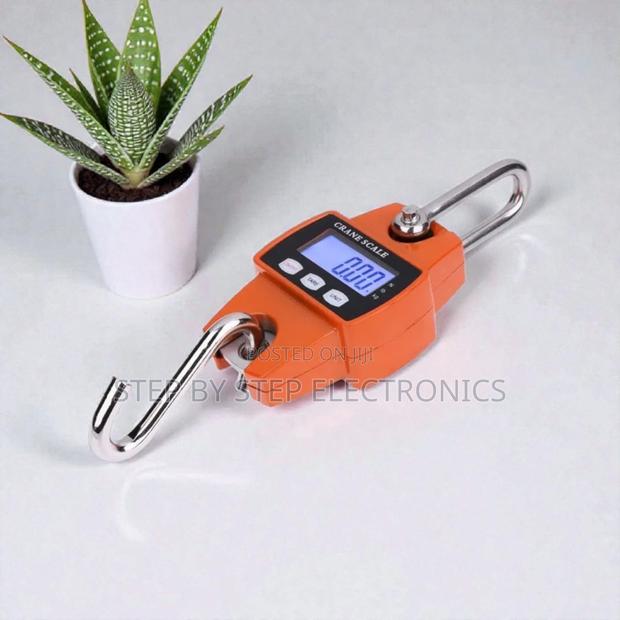 300kgs Industrial Crane Scale Lightweight Design Reliable Performance