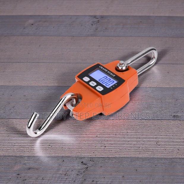 300kgs Mini Crane Scale LCD Display Long Term Reliability Performance
