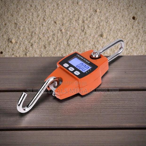 Reliable Quality 300kgs Hanging Crane Scale Portable and Easy to Use