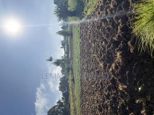 Lands and Plots for Sale - thumbnail 2