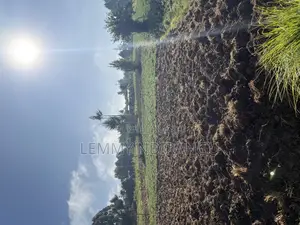 Lands and Plots for Sale