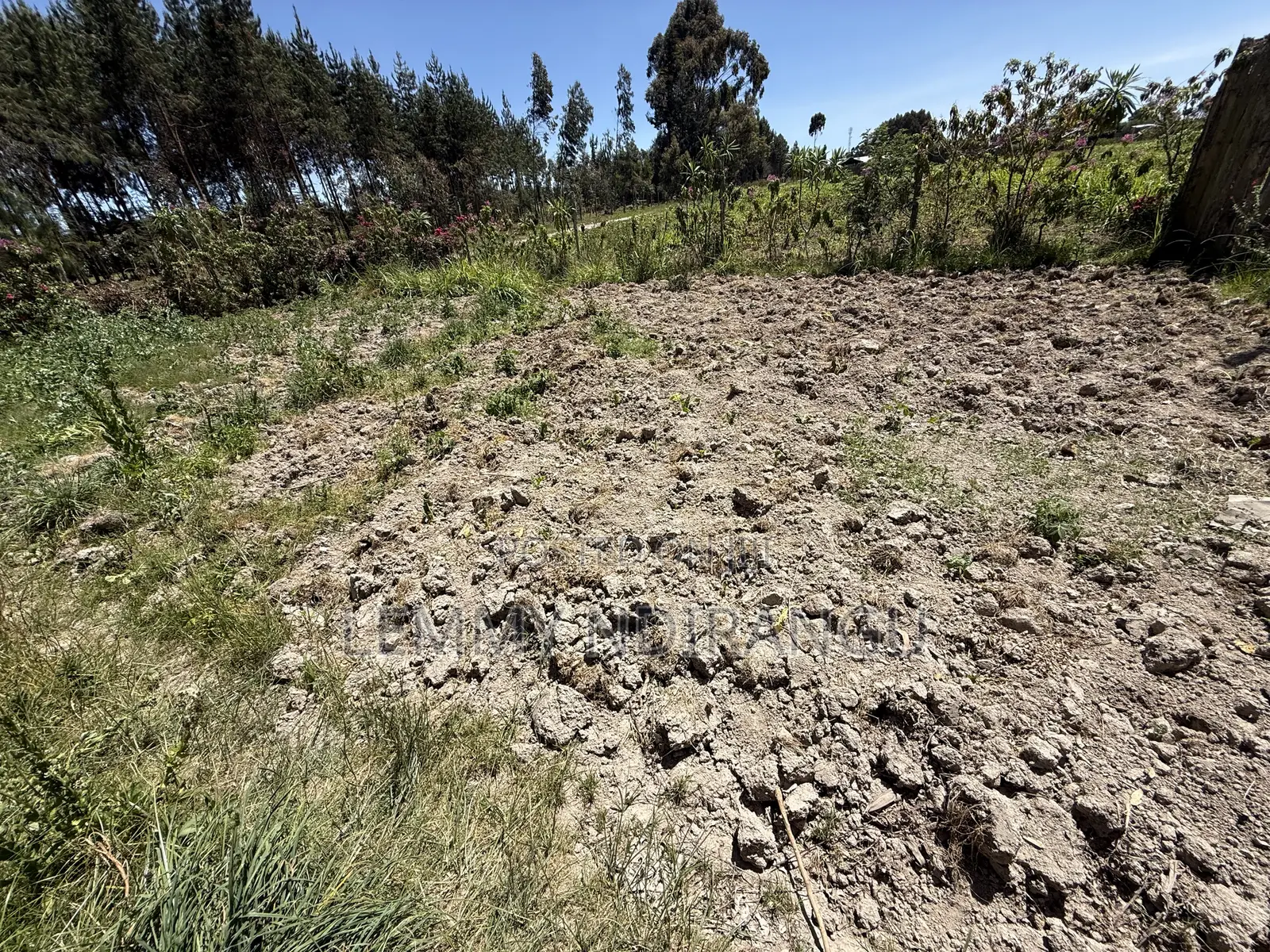 Lands and Plots for Sale