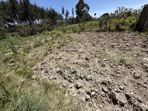 Lands and Plots for Sale