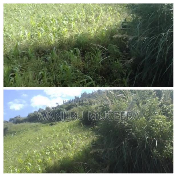 1acre Land for Sale in Naivasha - thumbnail 2