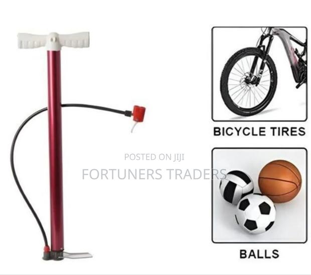 Hand Held Bicycle and Ball Pump
