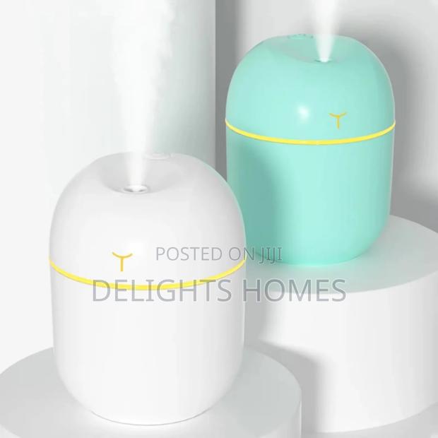 Mini Usb Egg Humidifier_dav