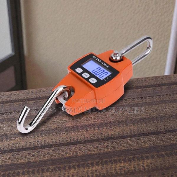 Inexpensive 300kgs Hanging Crane Scale Accurate and Easy to Use