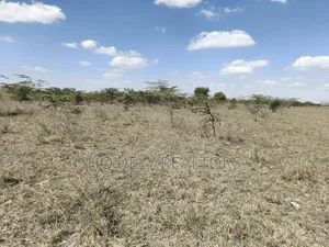 One Acre Piece of Land for Sale in Kiserian, Birika Near Tarmac