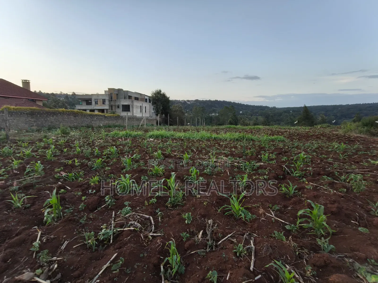 Quarter Acre Plot Is on Sale in Kerarapon Drive, Ngong. Red Soil