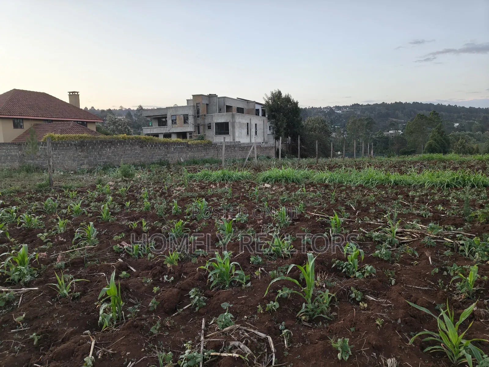 Quarter Acre Plot Is on Sale in Kerarapon Drive, Ngong. Red Soil