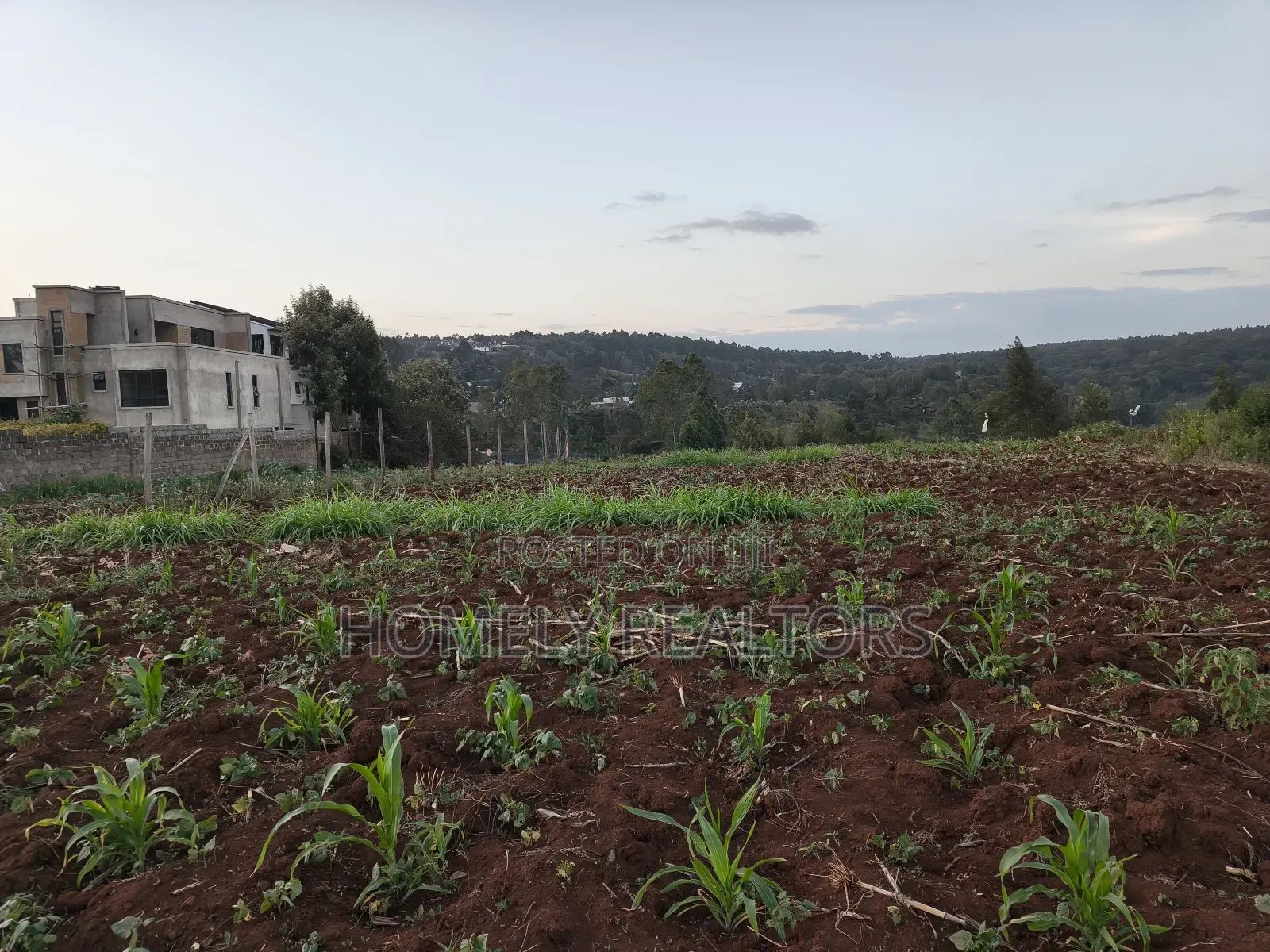 Quarter Acre Plot Is on Sale in Kerarapon Drive, Ngong. Red Soil