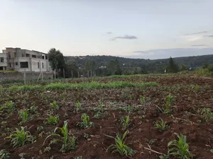 Quarter Acre Plot Is on Sale in Kerarapon Drive, Ngong. Red Soil
