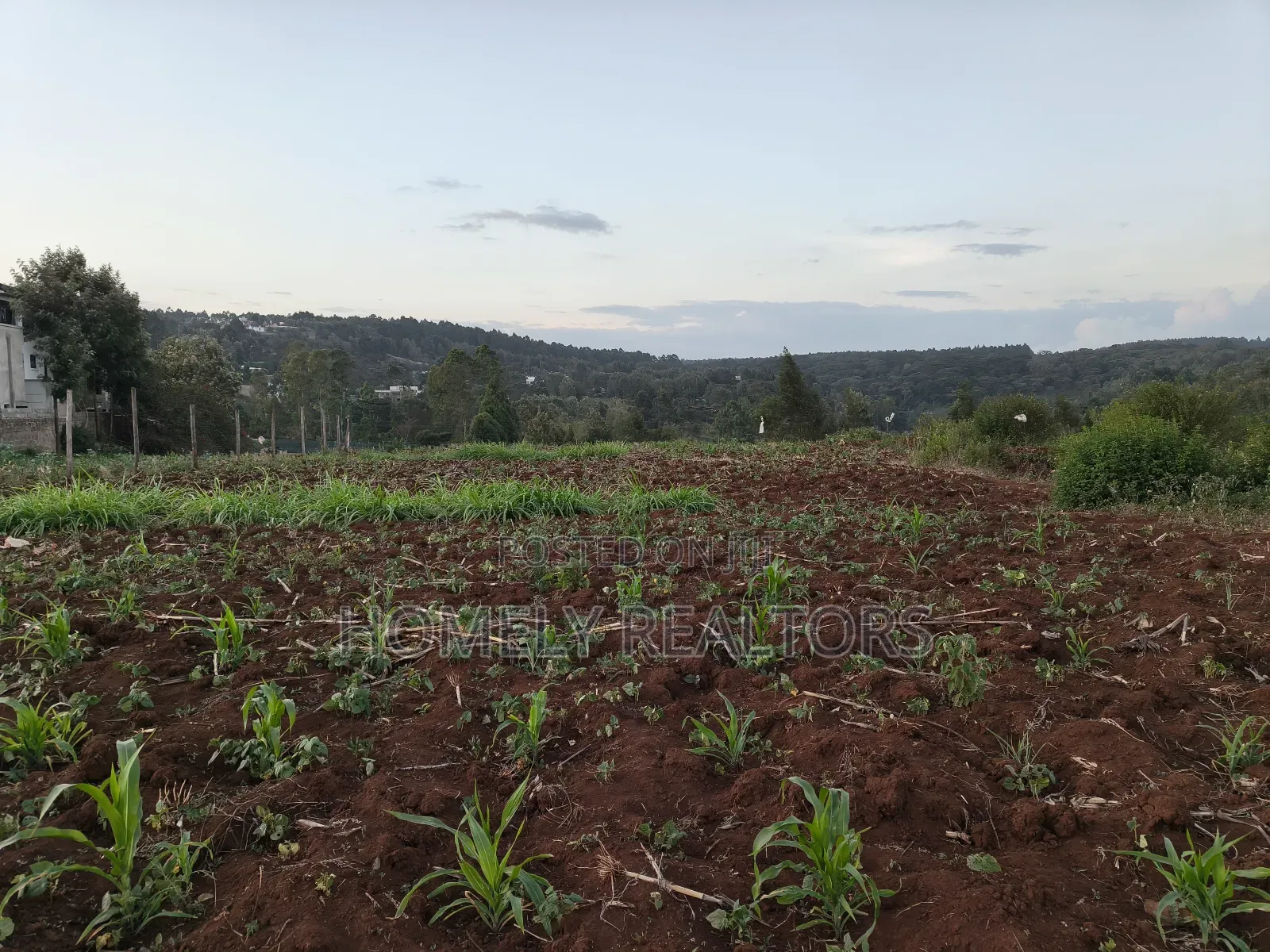 Quarter Acre Plot Is on Sale in Kerarapon Drive, Ngong. Red Soil