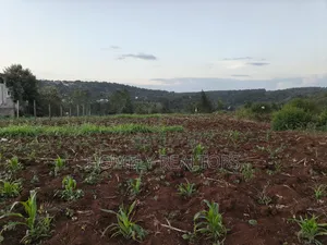 Quarter Acre Plot Is on Sale in Kerarapon Drive, Ngong. Red Soil