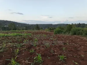 Quarter Acre Plot Is on Sale in Kerarapon Drive, Ngong. Red Soil
