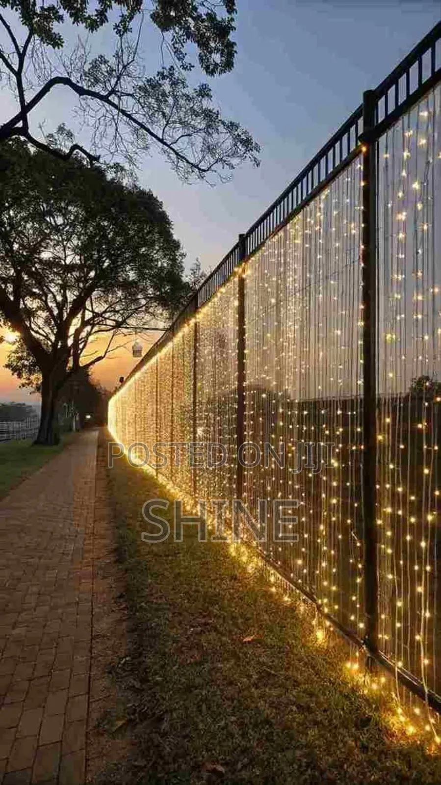 Christmas Lights