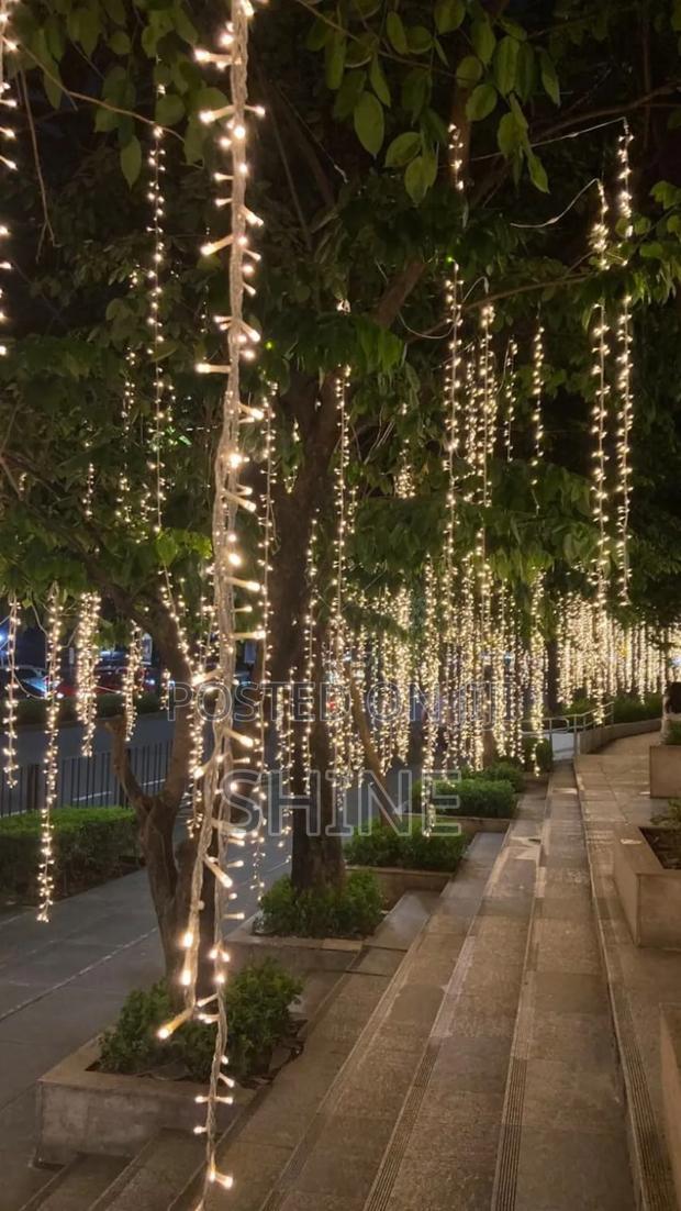 Christmas Lights - thumbnail 11