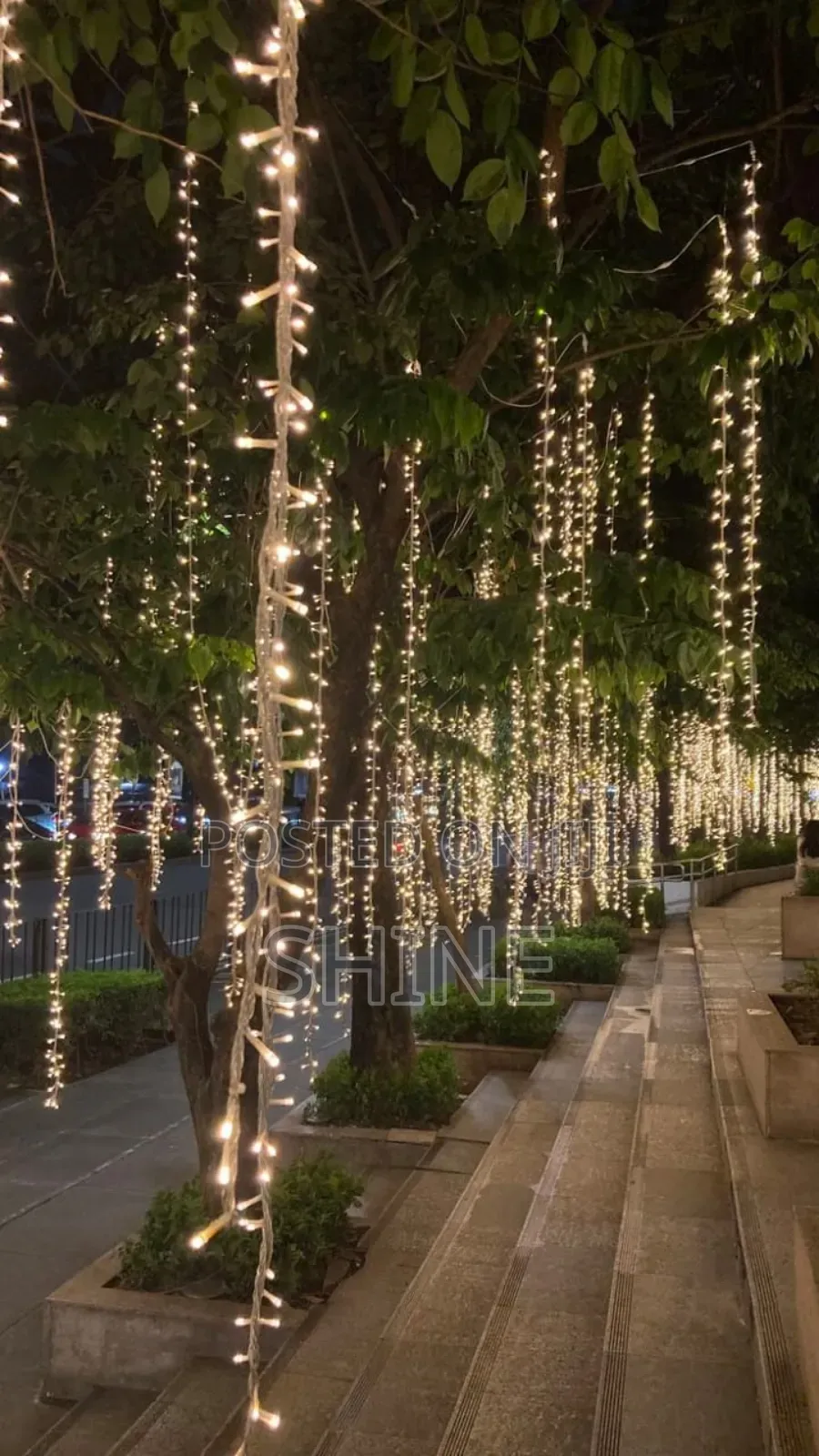 Christmas Lights