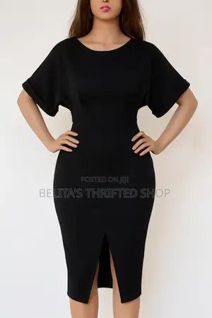 Chic Office Wear Dress