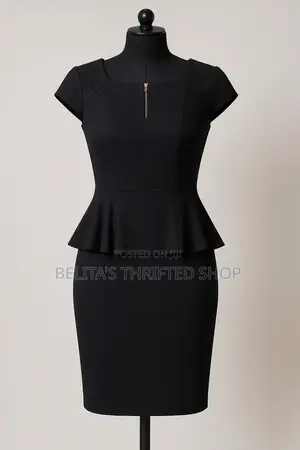 Chic Office Wear Dress