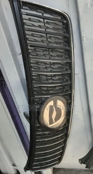 Fielder/Axio 2010 Sport Grill