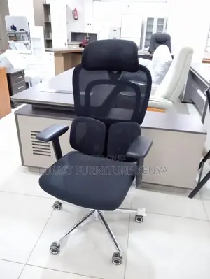 Orthopedic Office Chair With Back Spring