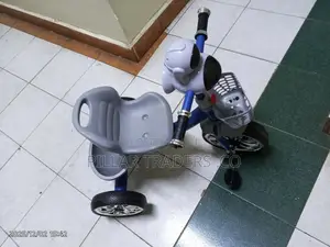 Happy Baby Tricycle