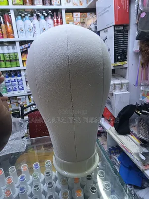 Canvas Dummy Head