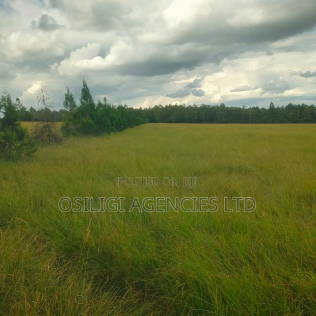 Kiserian 28 Acres for Sale - thumbnail 3