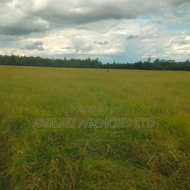 Kiserian 28 Acres for Sale - thumbnail 2
