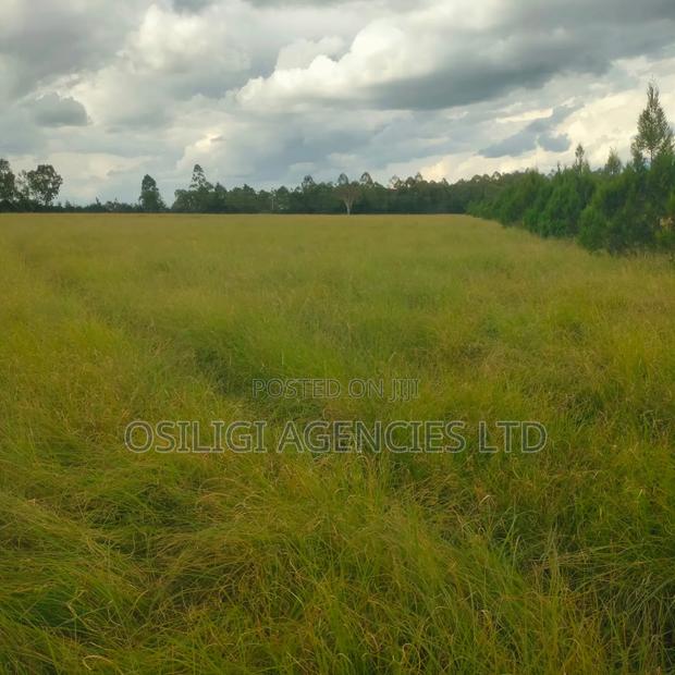 Kiserian 28 Acres for Sale - thumbnail 4