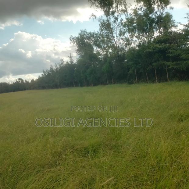 Kiserian 28 Acres for Sale - thumbnail 6