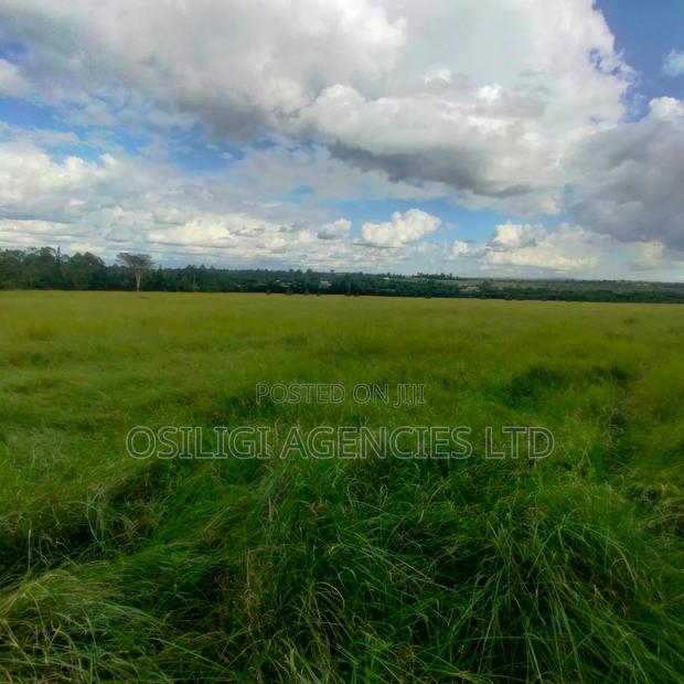 Kiserian 28 Acres for Sale - thumbnail 7