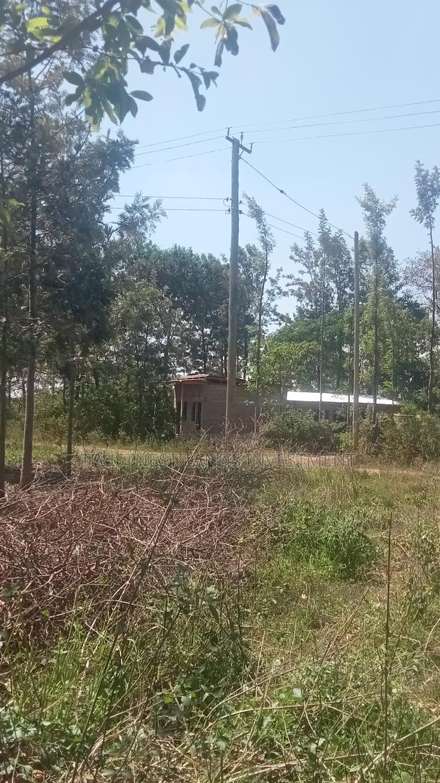 4 Acres at Mbeti - main view