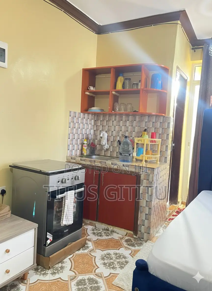 Spacious Studio Airbnb Mombasa Cbd| Near Beach Ksg, With Ac