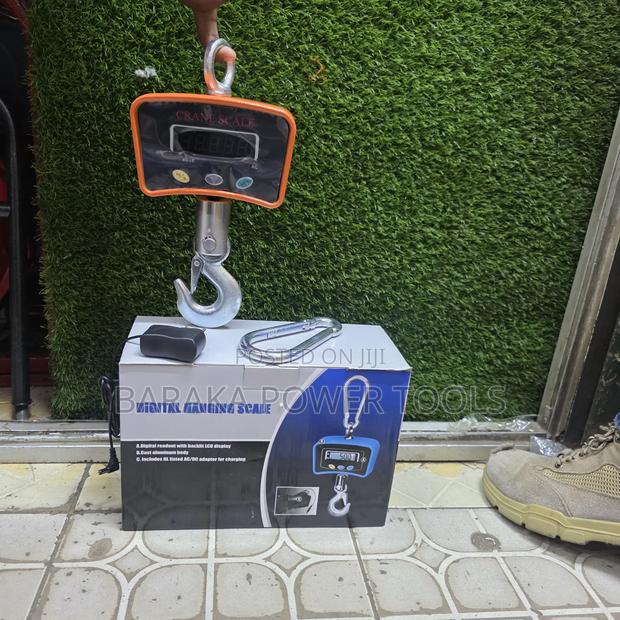 Affordable Crane Scale 1000kgs