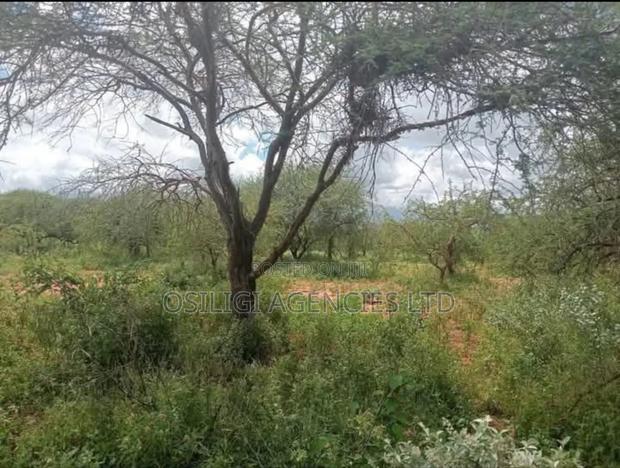 Kilifi 66,000 Acres Ranch for Sale