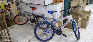 Size 24 Heavy Duty Multicolored Bikes
