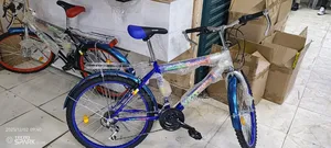Size 24 Heavy Duty Multicolored Bikes